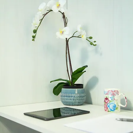 Relais 1 Near The Sea Airport Sea Rome Appartement Fiumicino